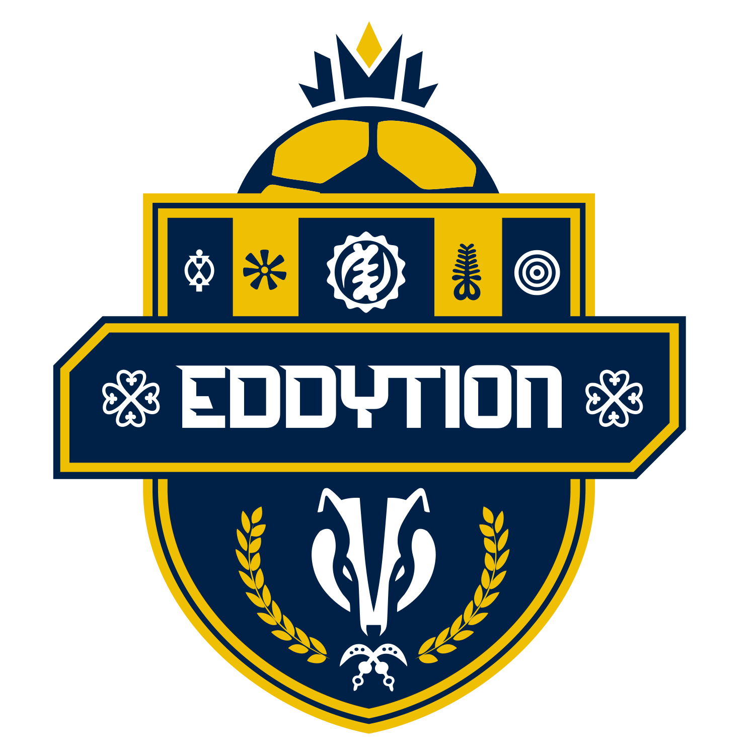 Eddytion Sports Academy